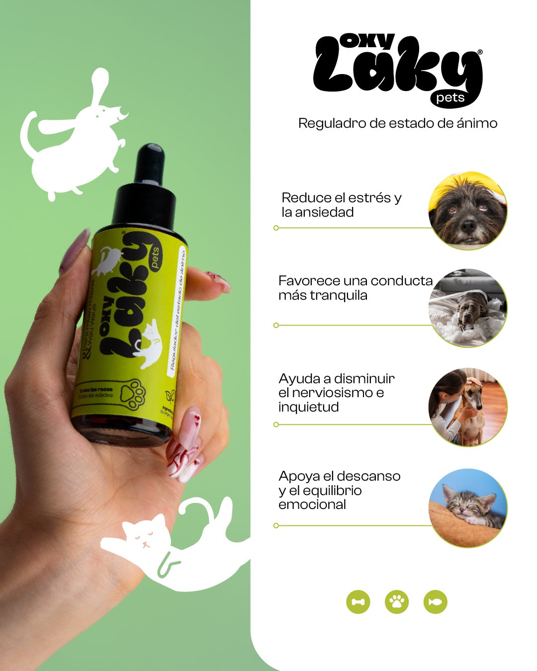 ÁniPets (bienestar de Mascota)