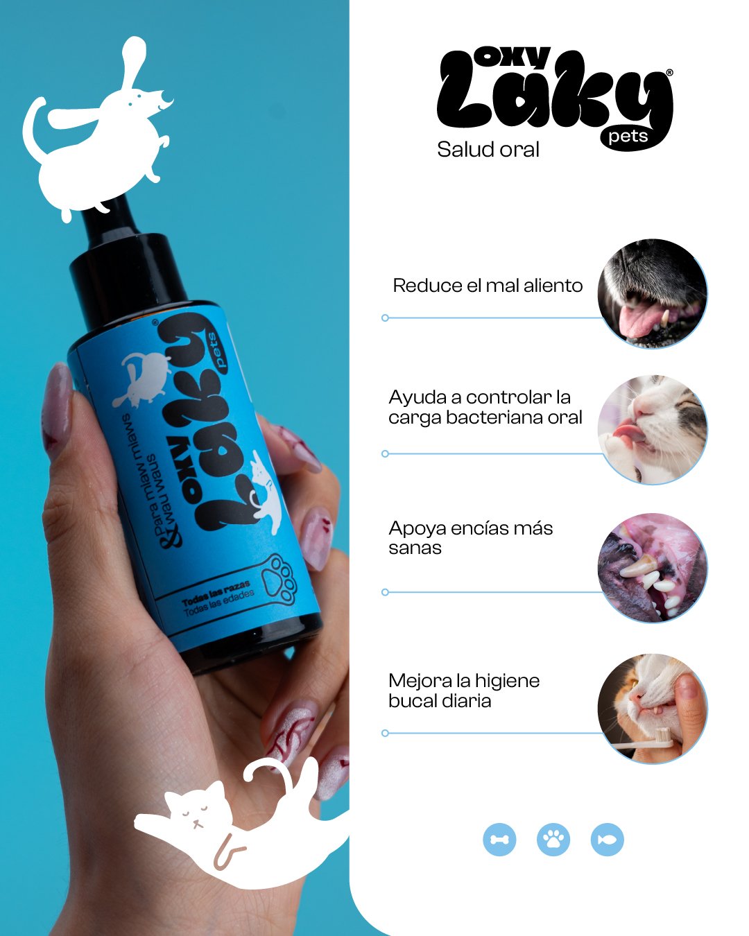 SaluPets (cuidado oral de Mascotas)