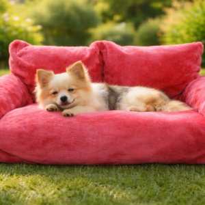 Cama Antiestrés para Perros